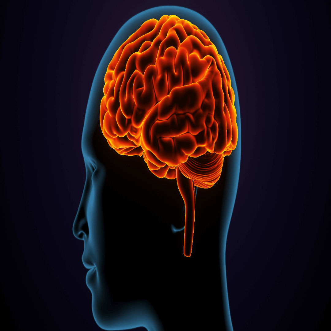 brain-tumor