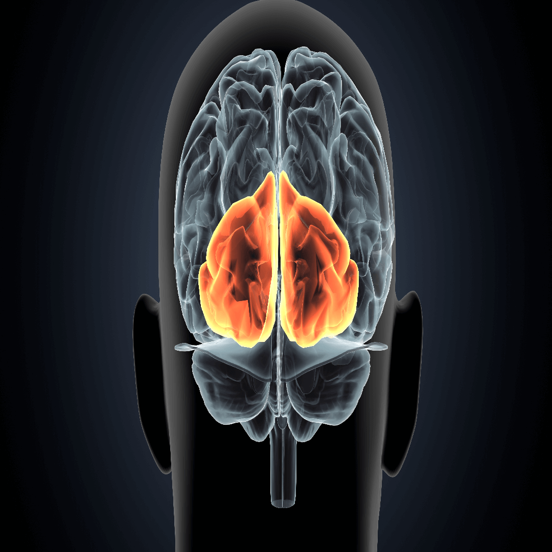 brain-tumor